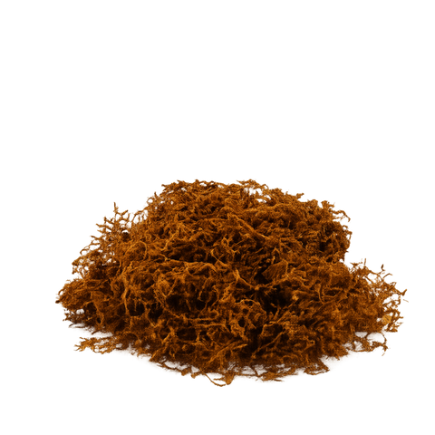 kentucky fire cured tobacco How Avanti Dark Fire-Cured Tobacco Stands Out From the Rest kentucky fire cured tobacco How Avanti Dark Fire-Cured Tobacco Stands Out From the Rest