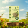 Bio-Hanfsamen ungeschält von Green Passion in stilvoller Verpackung – perfekte Ergänzung für gesunde Rezepte. Hoher Proteingehalt.