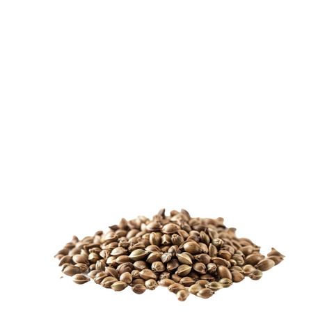 Ungeschälte Bio-Hanfsamen von Green Passion – reich an Omega-3, Proteinen und Ballaststoffen. Perfekt für gesunde Mahlzeiten.