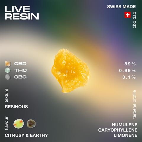 A piece of golden, resinous CBD concentrate labeled 'Live Resin' with cannabinoid percentages and terpene profile, featuring a Swiss flag icon.