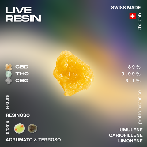 Live Resin con 89% CBD, 0,99% THC e 3,1% CBG, texture resinosa, aroma agrumato e terroso, profilo terpenico con umulene, cariofillene e limonene.