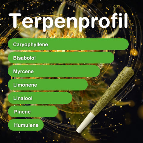 Coated Royal – King Size CBD Pre-Rolled Joint