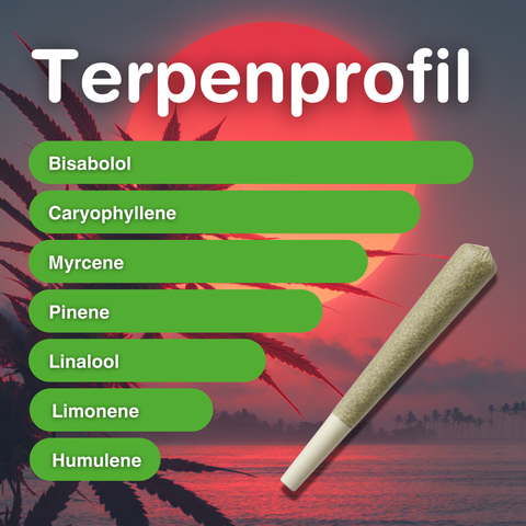 Red Twist – King Size CBD Pre-Rolled Joint