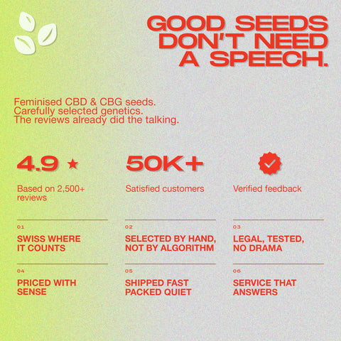 Graphic highlighting benefits of feminised CBD and CBG seeds with ratings and customer satisfaction statistics.