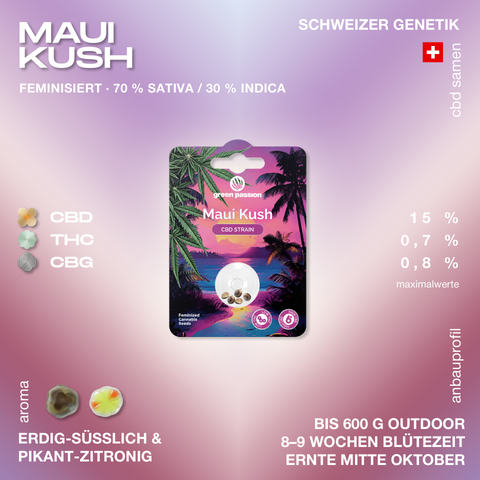 Verpackung der feminisierten Maui Kush CBD Hanfsamen von Green Passion mit Angaben zu Genetik, Aroma und Anbauprofil.