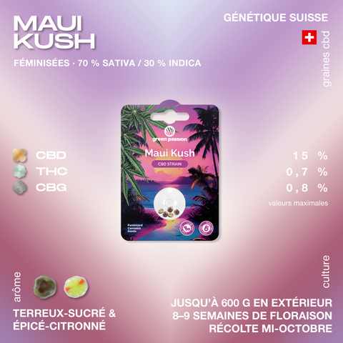 Emballage de graines de cannabis CBD Maui Kush de Green Passion avec des informations sur le pourcentage de CBD, THC, CBG et les arômes terreux-sucrés et épicé-citronné.