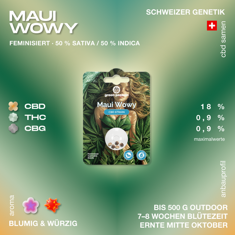 Verpackung der feminisierten Maui Wowy CBD Hanfsamen von Green Passion mit Angaben zu Genetik, CBD-, THC- und CBG-Gehalt sowie Blütezeit und Erntezeit.