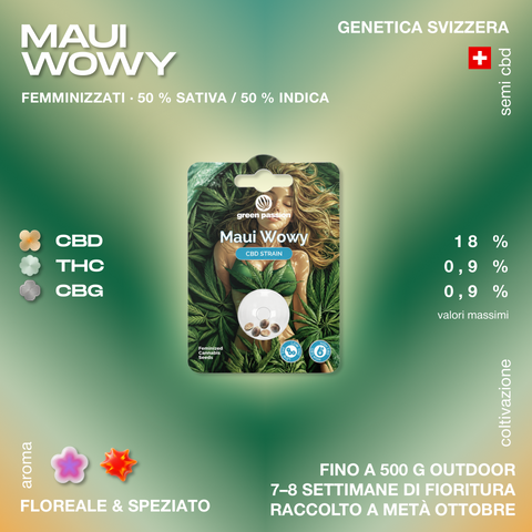 Confezione di semi di cannabis CBD Maui Wowy di Green Passion, con dettagli su genetica svizzera, percentuali di CBD, THC e CBG, e aromi floreali e speziati.