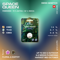 Packaging of Space Queen CBD cannabis seeds by Green Passion, showing feminised seeds with 70% Sativa and 30% Indica, floral and earthy flavor.